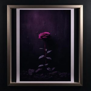 Limited Edition Poster