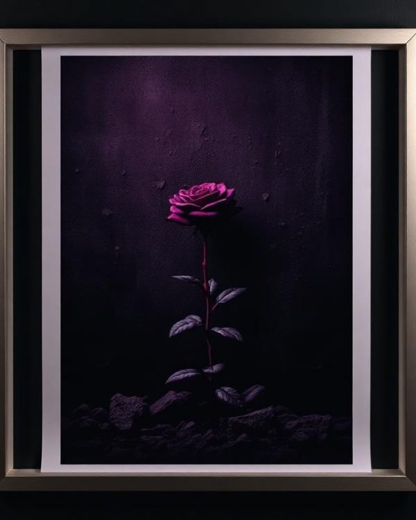 Limited Edition Poster